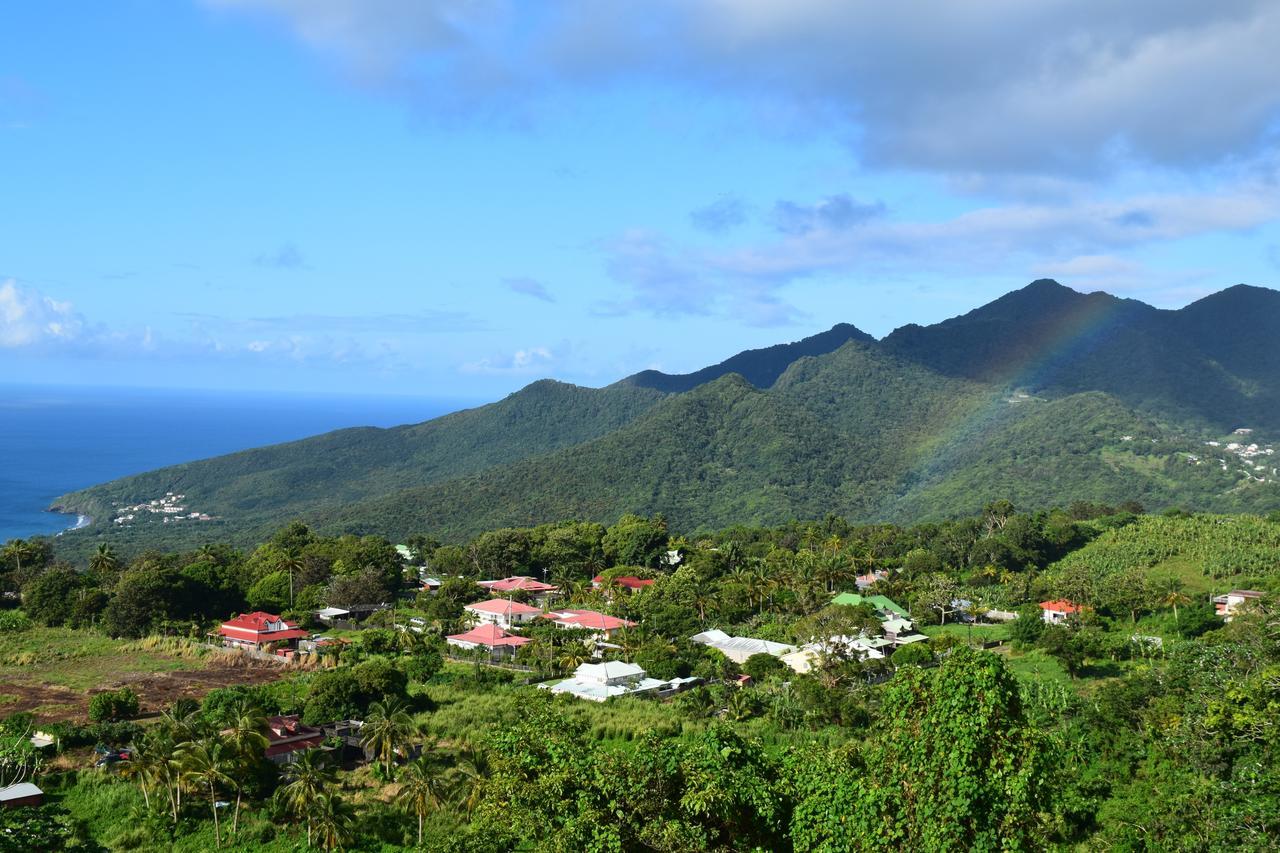 L'Ilot Fruits Guadeloupe Villa Trois-Rivières Eksteriør bilde